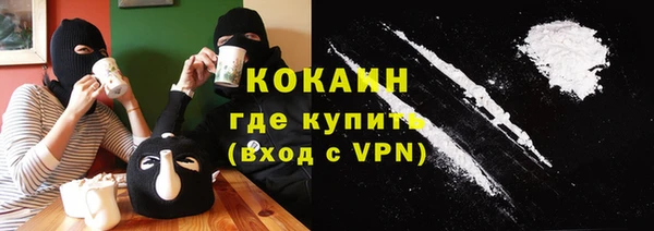 ECSTASY Горняк