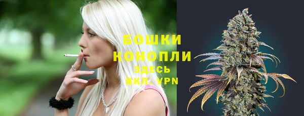 ECSTASY Горняк