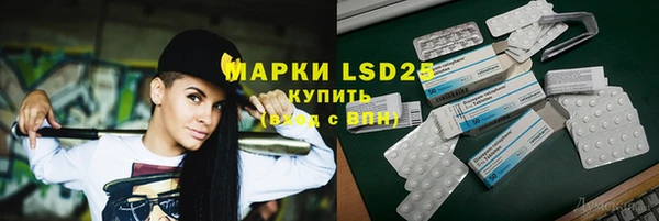PSILOCYBIN Горно-Алтайск