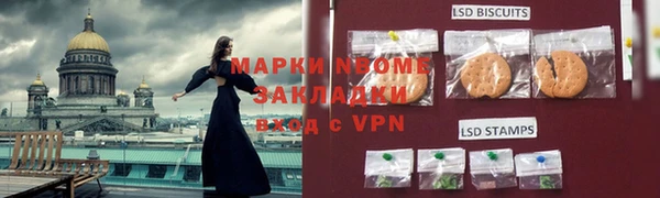 PSILOCYBIN Горнозаводск