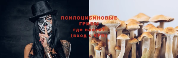ECSTASY Горняк