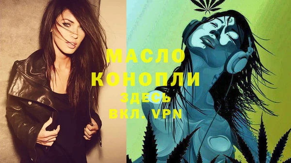 ECSTASY Горняк