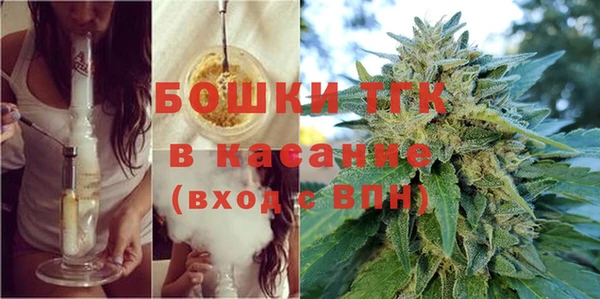 ECSTASY Горняк