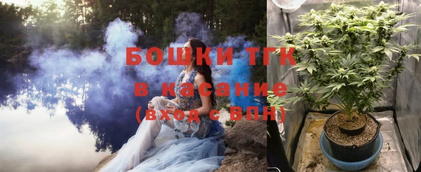 PSILOCYBIN Горно-Алтайск
