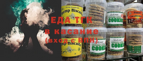 ECSTASY Горняк