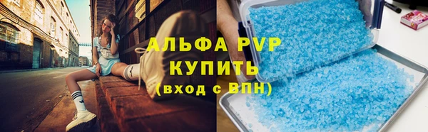 PSILOCYBIN Горнозаводск