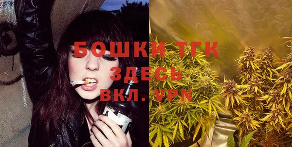 PSILOCYBIN Горно-Алтайск