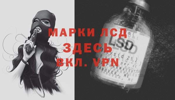 PSILOCYBIN Горно-Алтайск