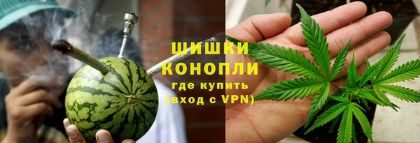 ECSTASY Горняк